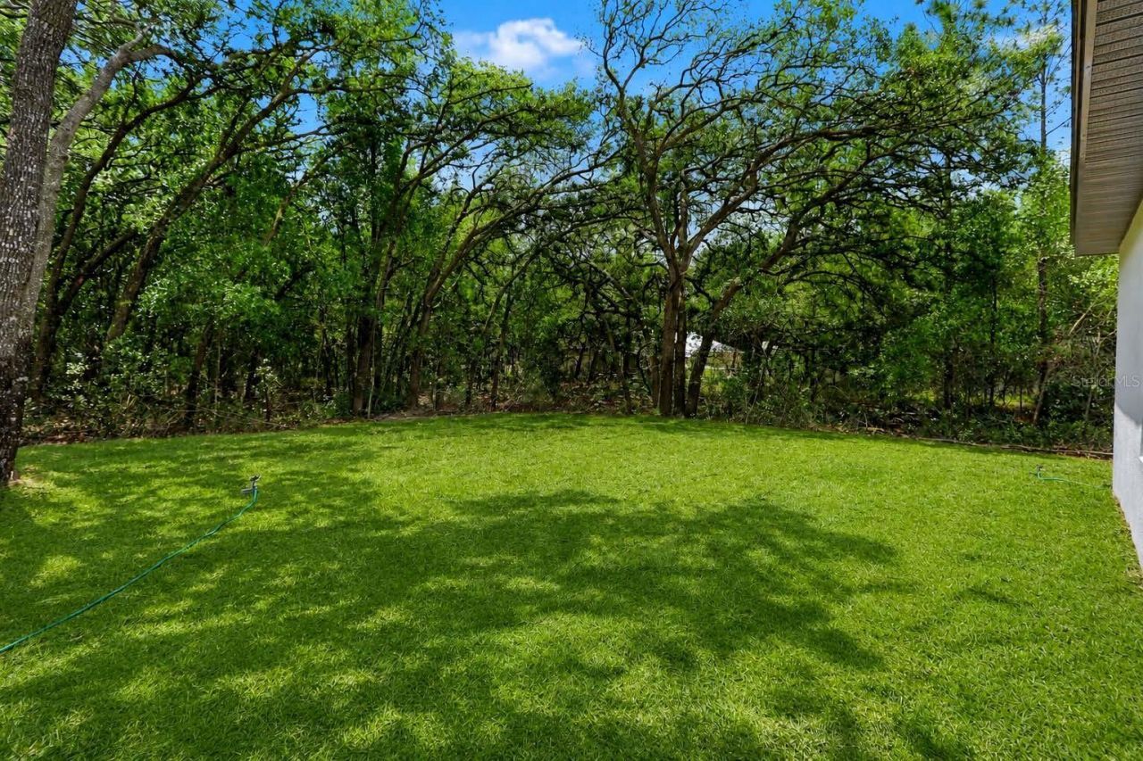 8547 N Trojan Drive, Citrus Springs, FL 34433 Photo