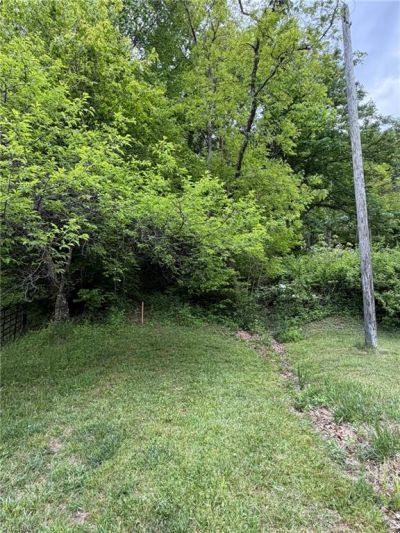 Tbd Ben Bolen Road, Creston, NC 28615 Main Photo