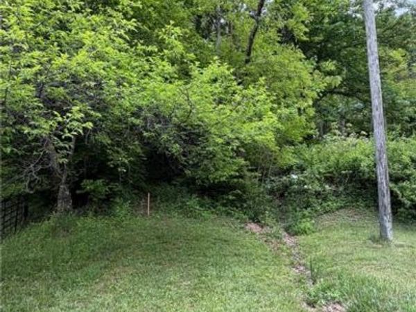 TBD Ben Bolen Road, Creston, NC 28615