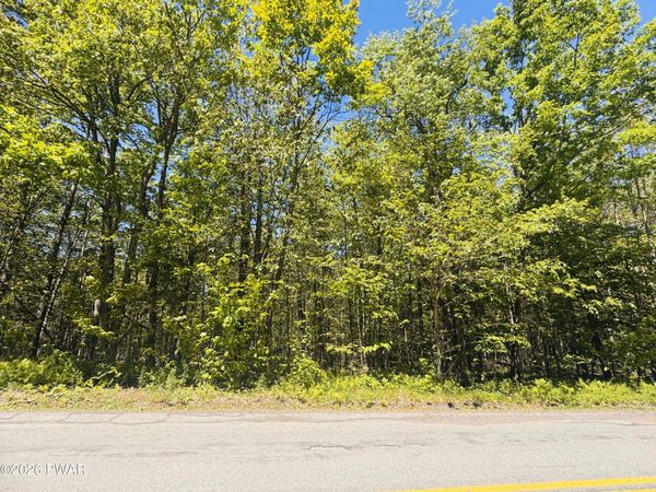 Pleasant Mount Drive, Forest City, PA 18421
