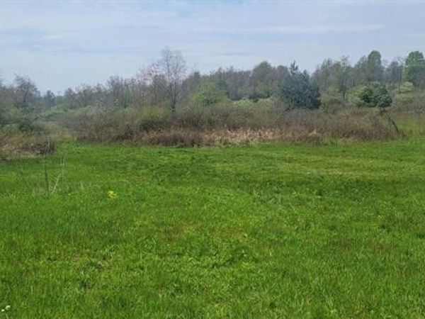 138 Beaver Run , Apollo, PA 15613