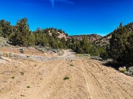 2120 Castle Peak Road, Reno, NV 89521 Photo