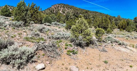 2120 Castle Peak Road, Reno, NV 89521 Photo