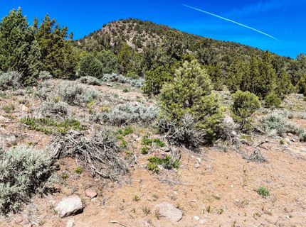 2120 Castle Peak Road, Reno, NV 89521 Photo