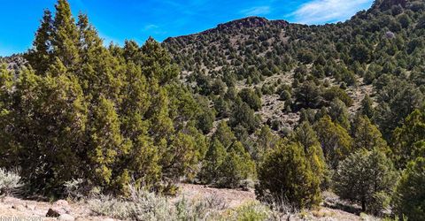 2120 Castle Peak Road, Reno, NV 89521 Photo