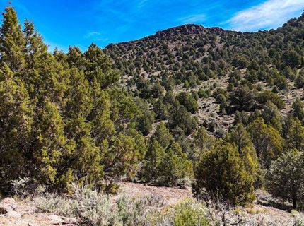 2120 Castle Peak Road, Reno, NV 89521 Photo