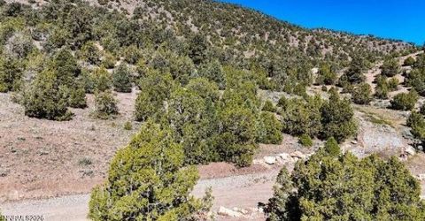 2120 Castle Peak Road, Reno, NV 89521 Photo