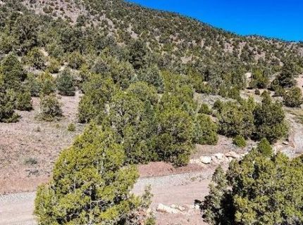 2120 Castle Peak Road, Reno, NV 89521 Photo