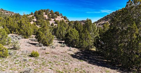 2120 Castle Peak Road, Reno, NV 89521 Photo