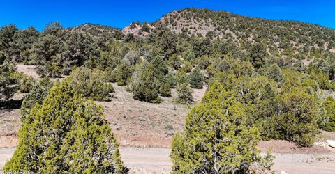 2120 Castle Peak Road, Reno, NV 89521 Photo
