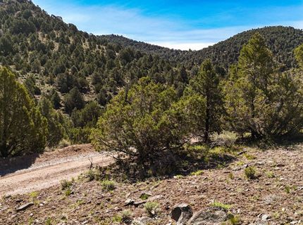 2120 Castle Peak Road, Reno, NV 89521 Photo