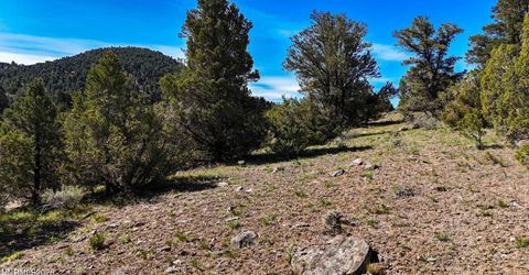 2120 Castle Peak Road, Reno, NV 89521 Photo