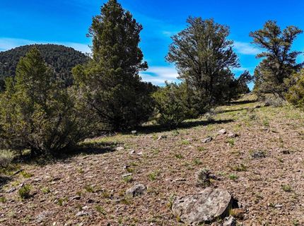 2120 Castle Peak Road, Reno, NV 89521 Photo