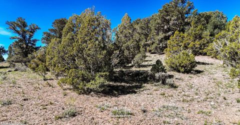 2120 Castle Peak Road, Reno, NV 89521 Photo