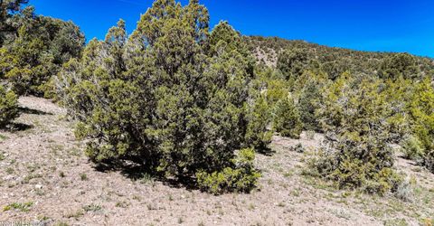 2120 Castle Peak Road, Reno, NV 89521 Photo