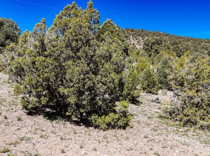 2120 Castle Peak Road, Reno, NV 89521 Photo