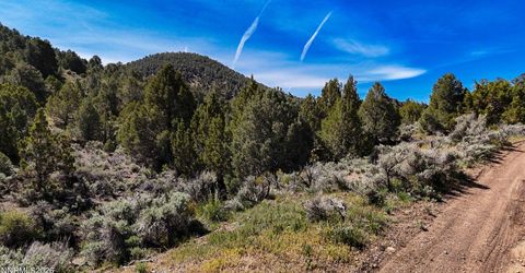 2120 Castle Peak Road, Reno, NV 89521 Photo