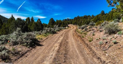 2120 Castle Peak Road, Reno, NV 89521 Photo