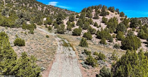 2120 Castle Peak Road, Reno, NV 89521 Photo
