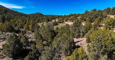 2120 Castle Peak Road, Reno, NV 89521 Photo