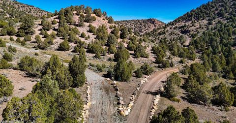 2120 Castle Peak Road, Reno, NV 89521 Photo