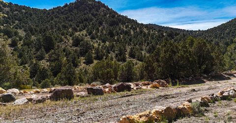 2120 Castle Peak Road, Reno, NV 89521 Photo