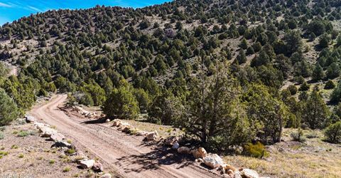 2120 Castle Peak Road, Reno, NV 89521 Photo