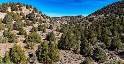 2120 Castle Peak Road, Reno, NV 89521 Photo