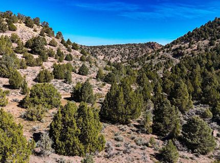 2120 Castle Peak Road, Reno, NV 89521 Photo