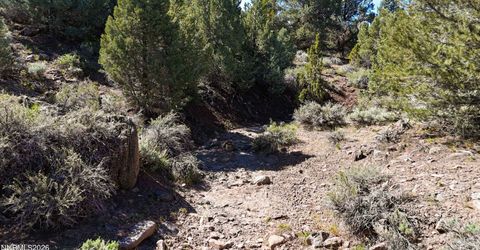 2120 Castle Peak Road, Reno, NV 89521 Photo