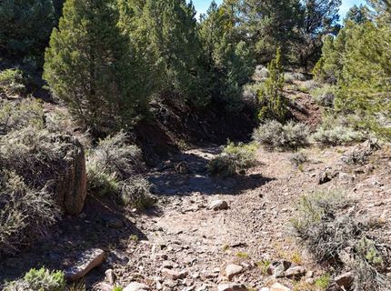 2120 Castle Peak Road, Reno, NV 89521 Photo