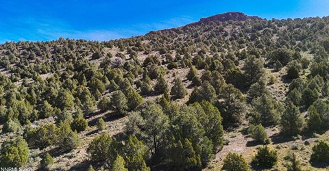 2120 Castle Peak Road, Reno, NV 89521 Photo