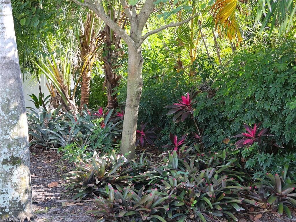2554 Outrigger Ln, Naples, FL 34104 Photo