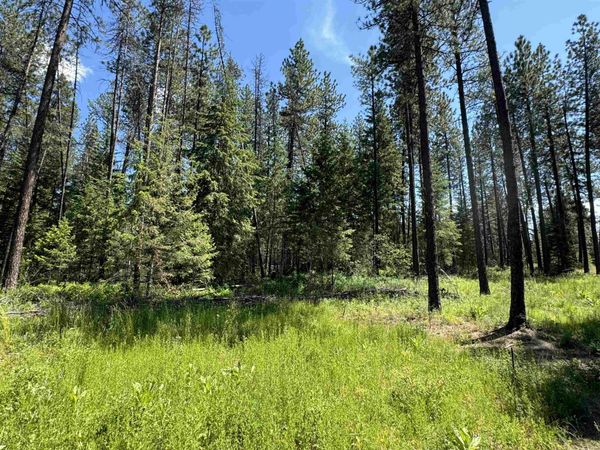 610 N A St, Springdale, WA 99173