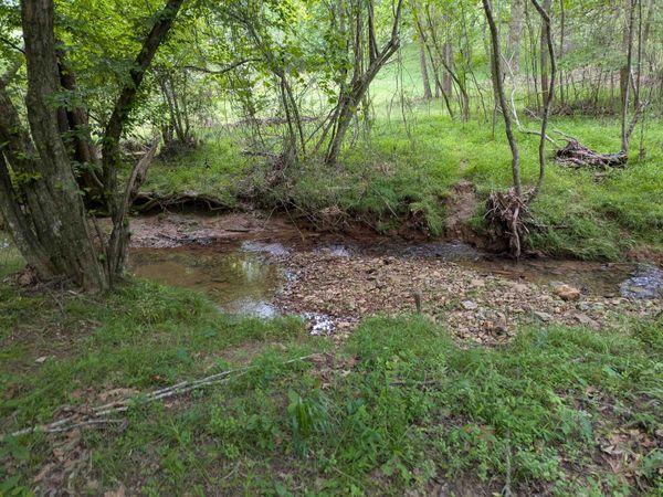200 First Creek Rd, Rogersville, AL 35632