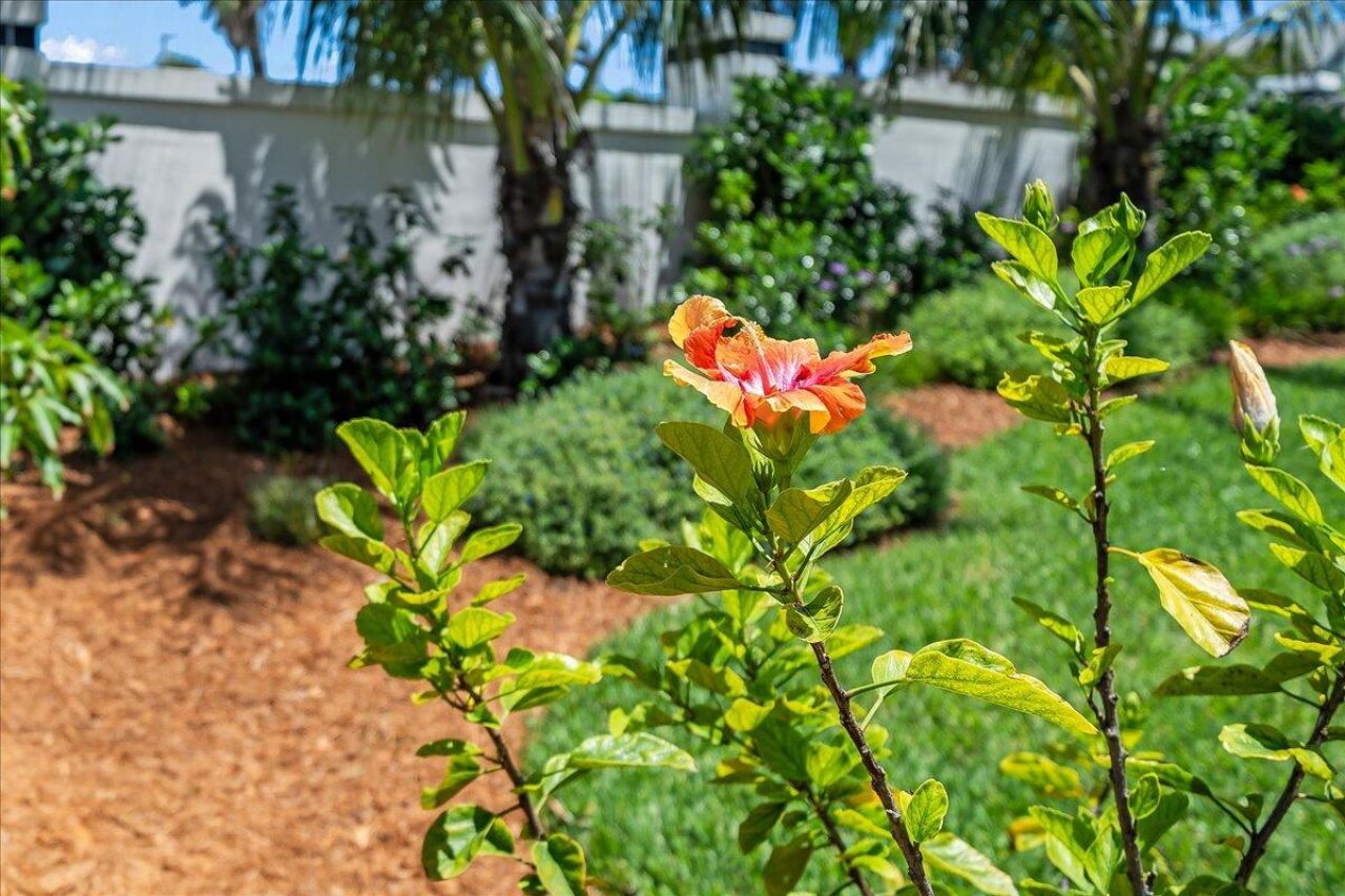 201 Loggerhead Drive , Melbourne Beach, FL 32951 Photo