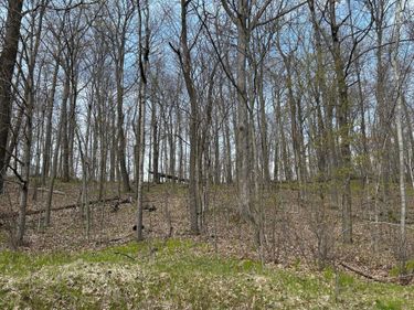 51XX Banyan Drive, Garrison, MN 56450