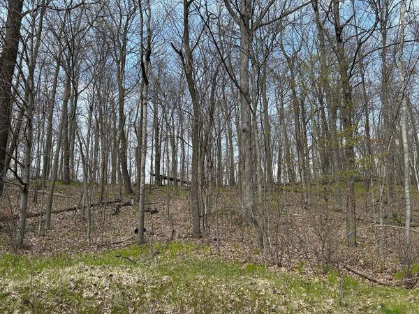 51XX Banyan Drive , Garrison, MN 56450