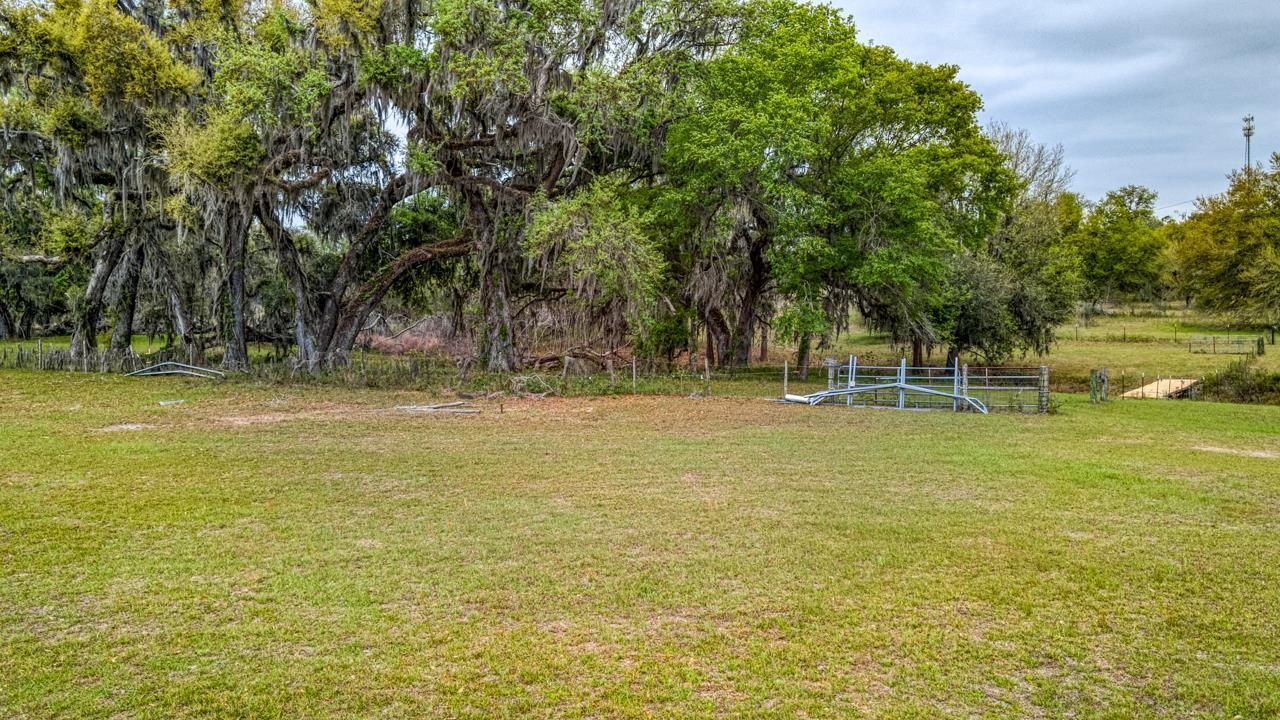 332 NE Forsythia Way, Pinetta, FL 32350 Photo