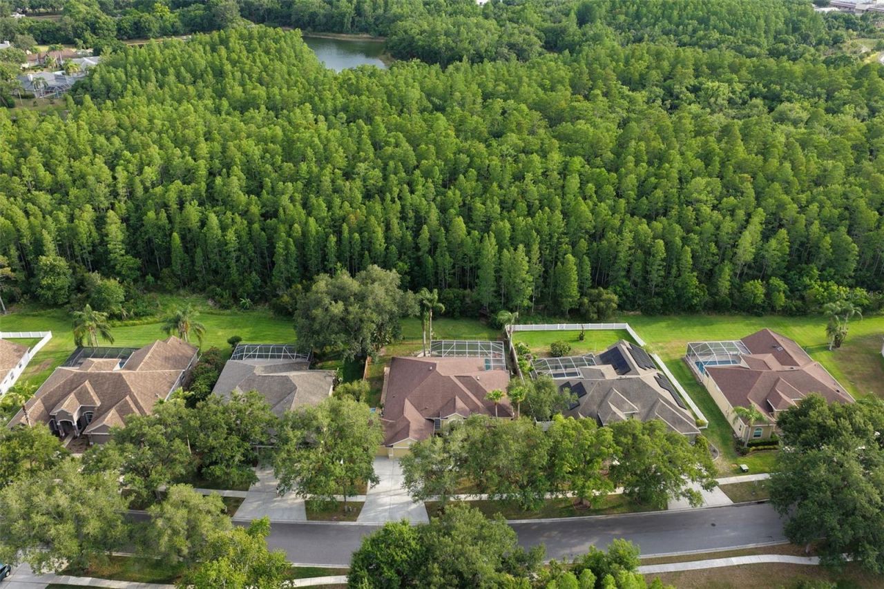 5306 Reflections Boulevard, Lutz, FL 33558 Photo