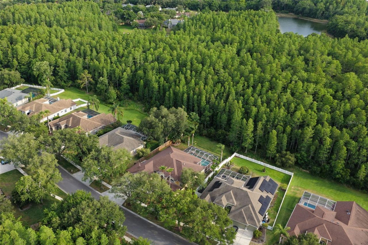 5306 Reflections Boulevard, Lutz, FL 33558 Photo