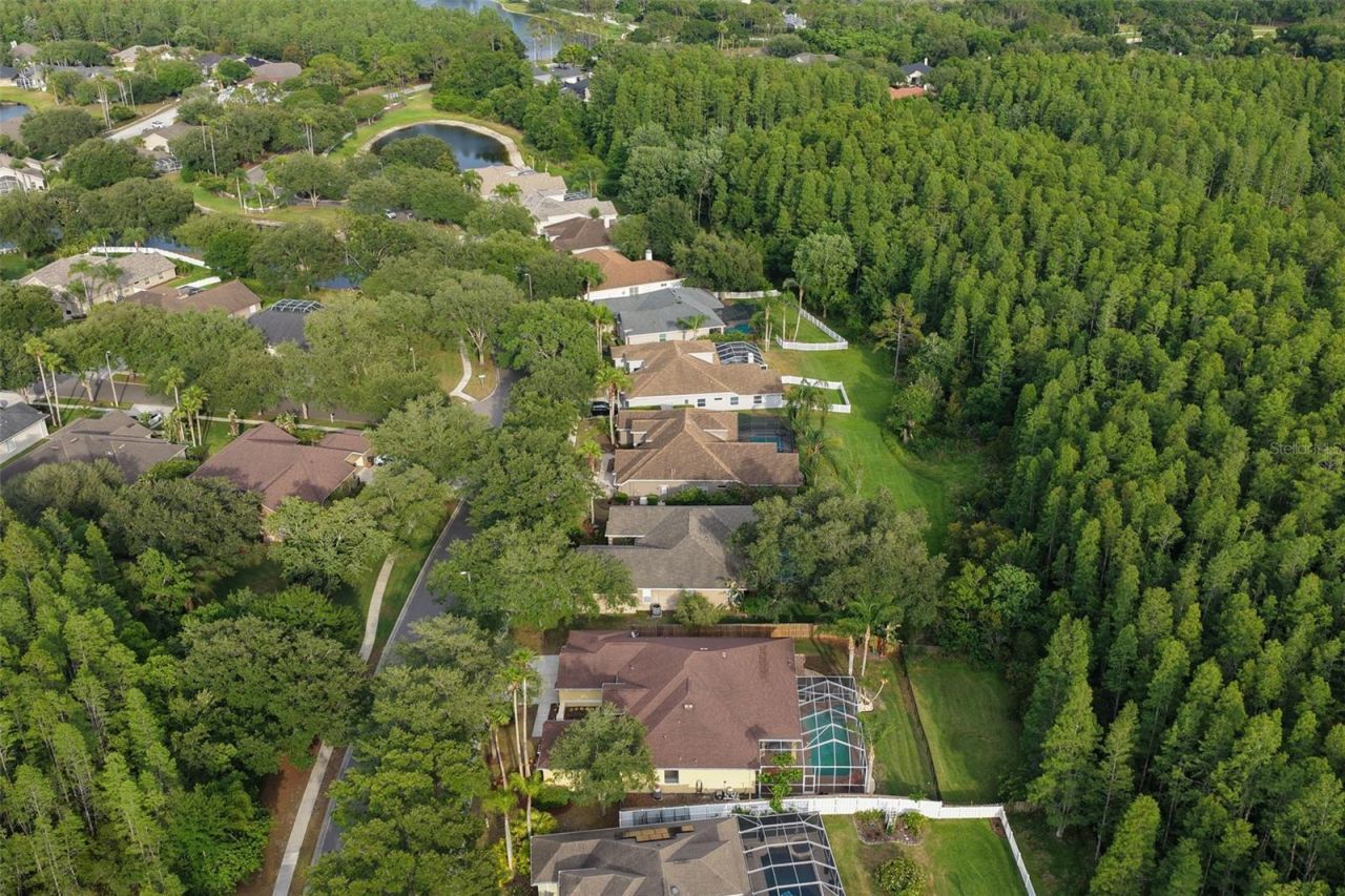 5306 Reflections Boulevard, Lutz, FL 33558 Photo