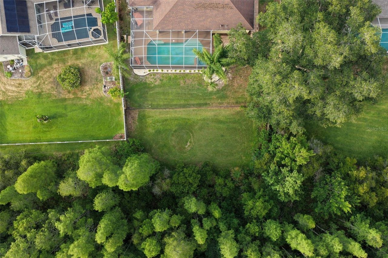 5306 Reflections Boulevard, Lutz, FL 33558 Photo