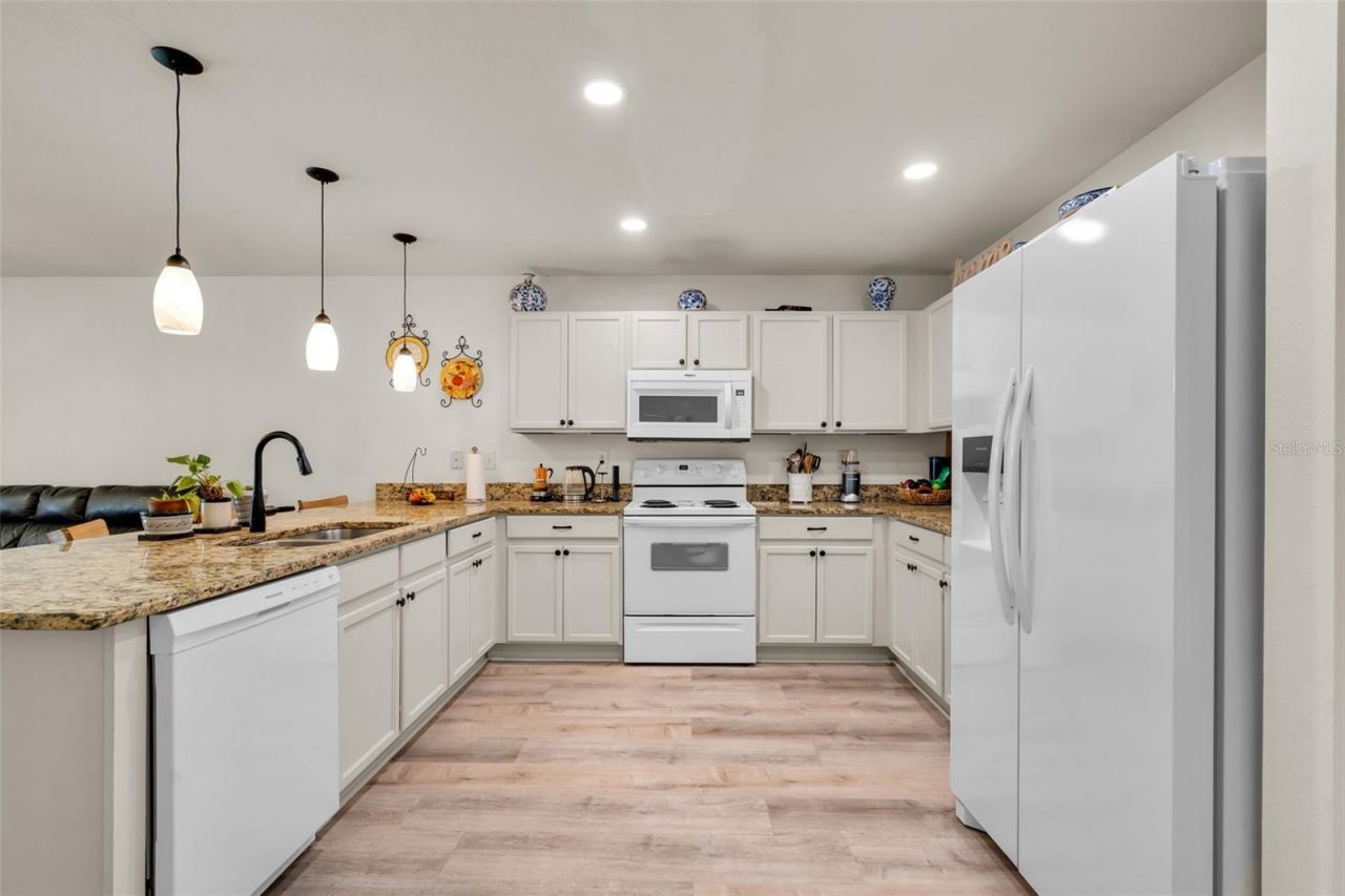 30855 Temple Stand Avenue, Wesley Chapel, FL 33543 Photo