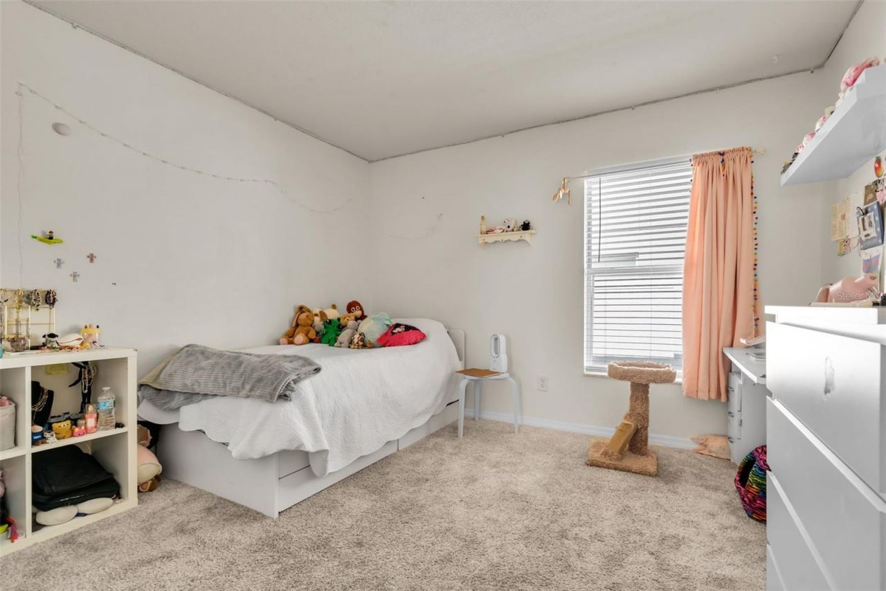 30855 Temple Stand Avenue, Wesley Chapel, FL 33543 Photo
