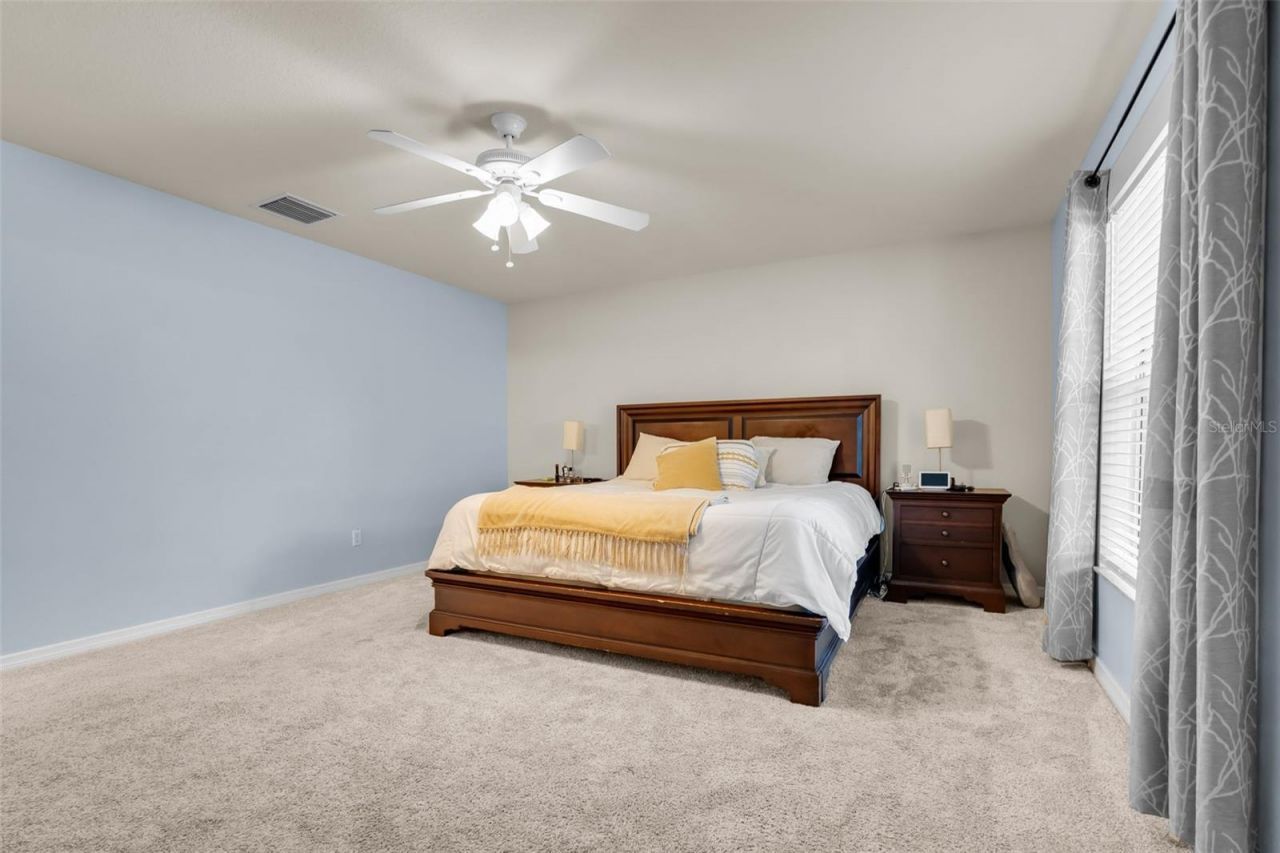 30855 Temple Stand Avenue, Wesley Chapel, FL 33543 Photo