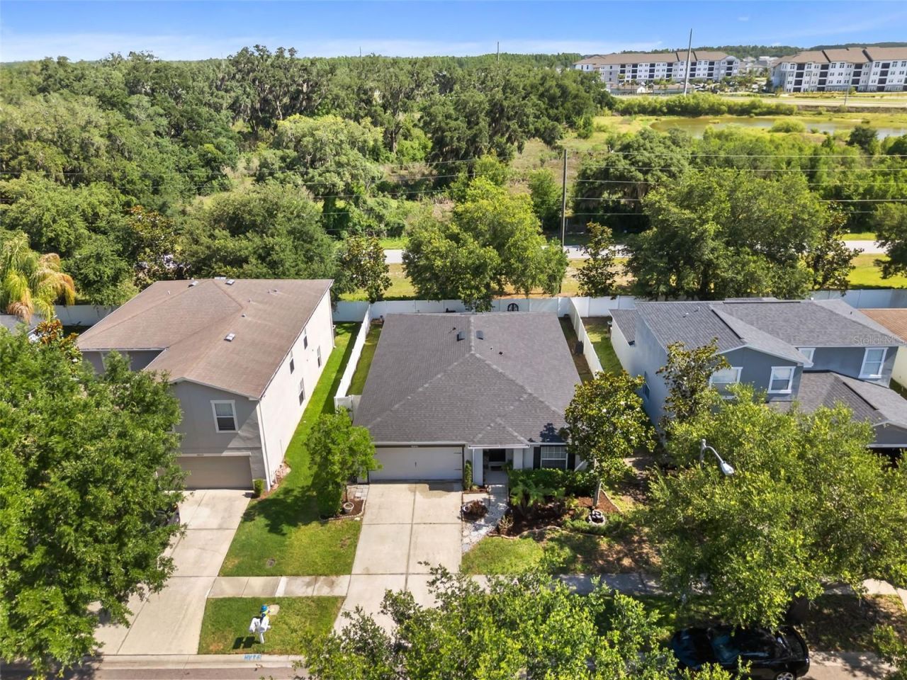 30855 Temple Stand Avenue, Wesley Chapel, FL 33543 Photo
