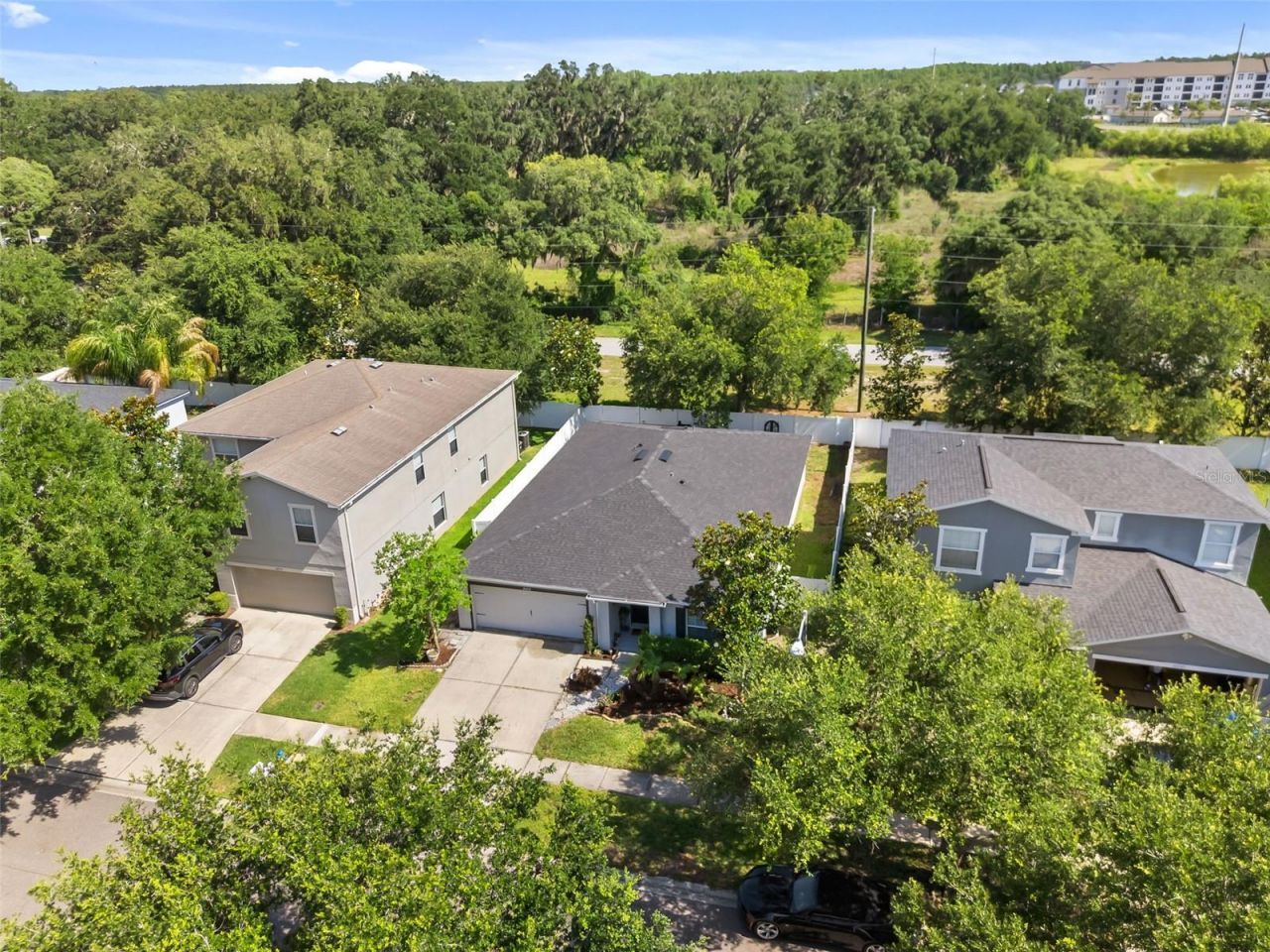30855 Temple Stand Avenue, Wesley Chapel, FL 33543 Photo