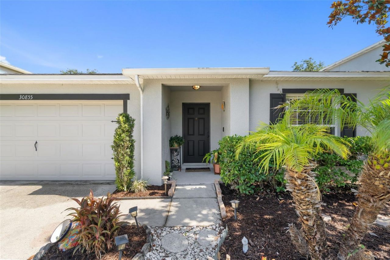 30855 Temple Stand Avenue, Wesley Chapel, FL 33543 Photo