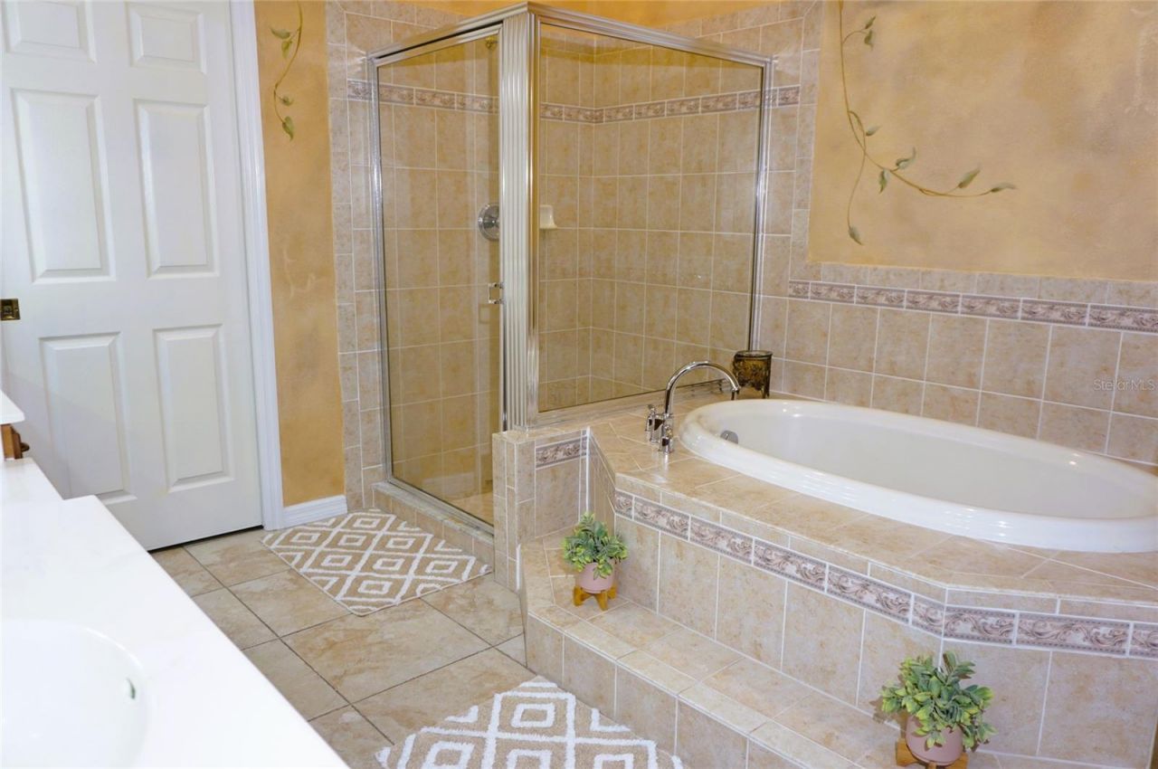 6402 Barcellona Road, Land O Lakes, FL 34637 Photo
